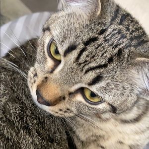 Meet your Posher, Ryan